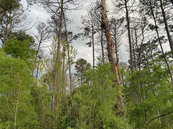 221 Ashworth Cir Lot 107, Madison, MS 39110