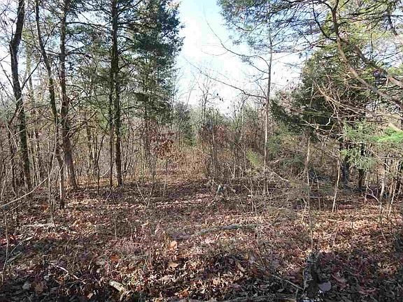 4th image of 5 Red Bud Ln #5