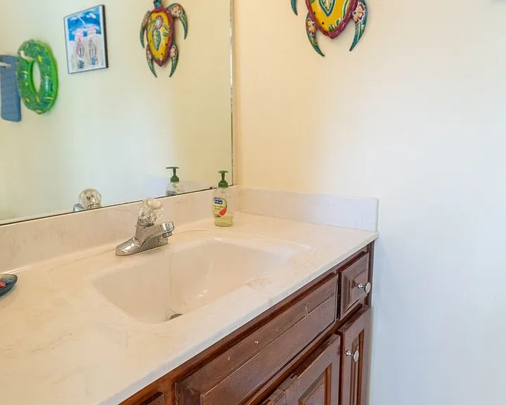 491 Frank Shaw Rd — Photo 48