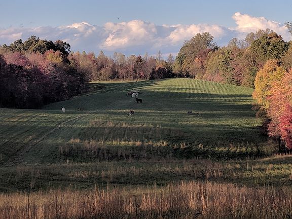 2nd image of 35188 Wolf Hill Rd