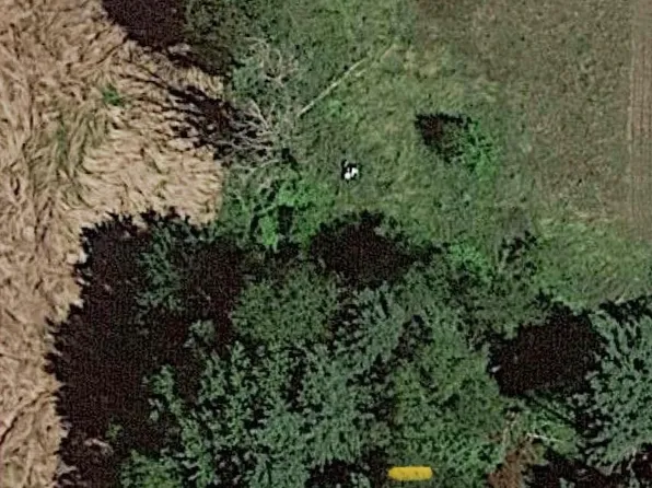 21661 Roys Rd, Centreville, MI 49032