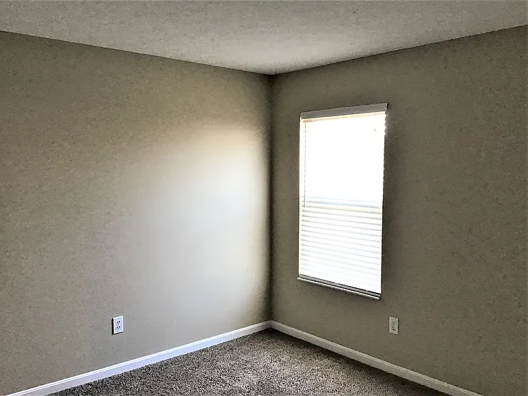 233 Saddle Creek Ln — Photo 10