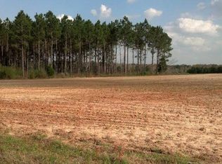 2690 Gardenview Rd, Alford, FL 32420