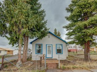 230 W 3rd St, Leadville, CO 80461