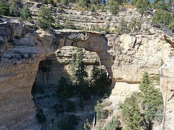 5th image of Cedar Mountain Ashdown Gorge