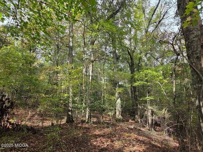 0 Highway 57, Macon, GA, 31217