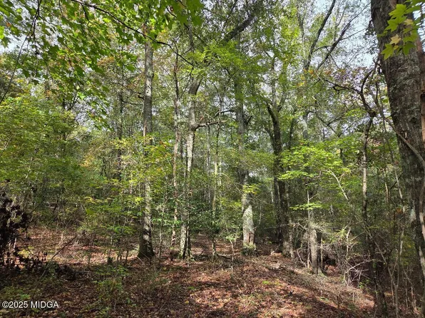 0 Highway 57, Macon, GA 31217