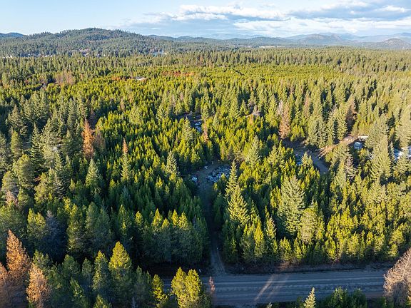 4th image of 2141 Driskill Rd