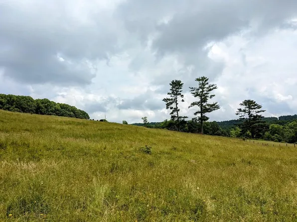 Tbd Floyd Hwy S, Willis, VA 24380