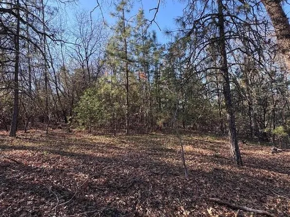 0 S Lakewood Dr, Meadow Vista, CA 95722