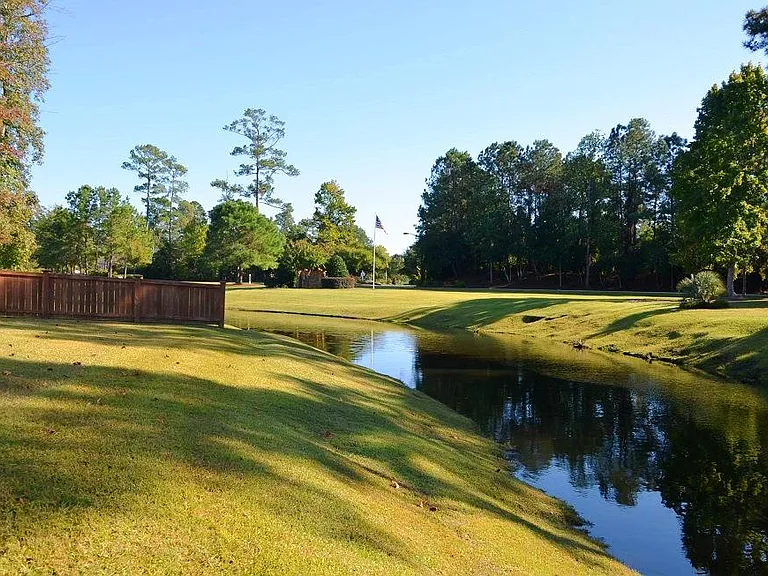 Pond view