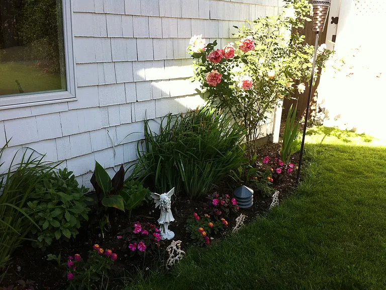 Backyard landscaping.