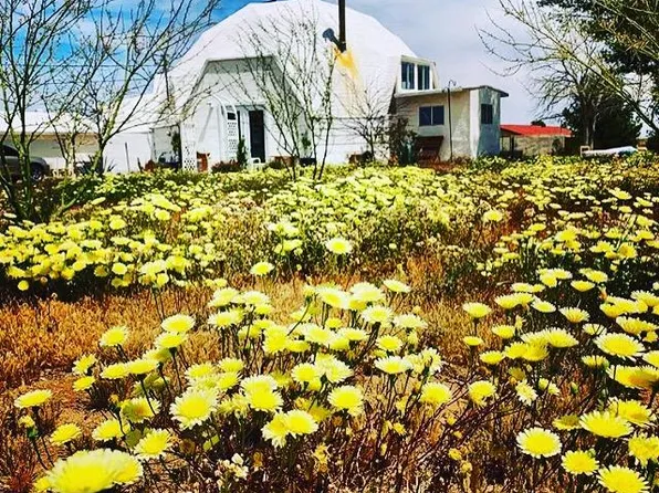 (undisclosed Address), Joshua Tree, CA 92252