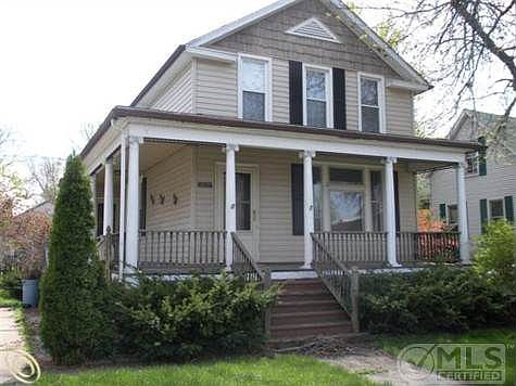 527 pine 004.JPG