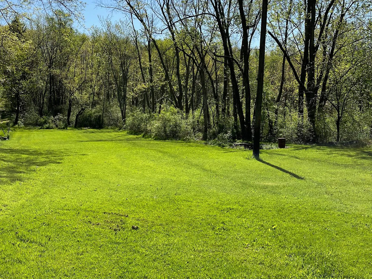 2877 Pickle Rd — Photo 4