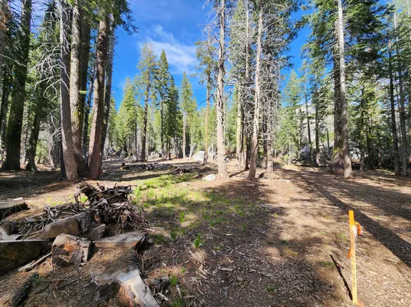 Ca State Highway 4, Arnold, CA 95223