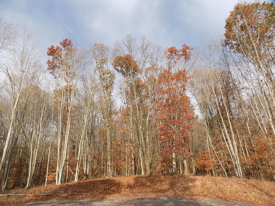 1st image of 07 Williow Creek Drive