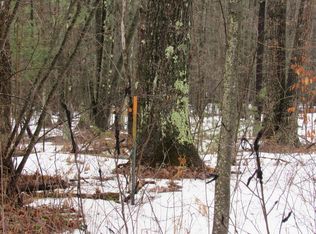 Ivy Rd, Roscommon, MI 48653