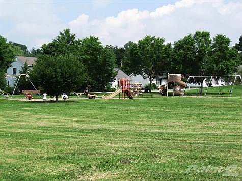 Chavis 6