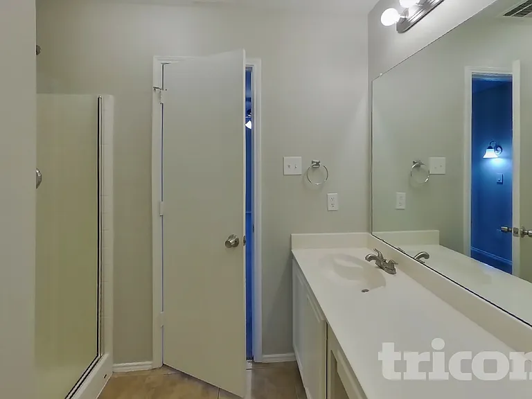413 Rustic Grove Ln — Photo 10