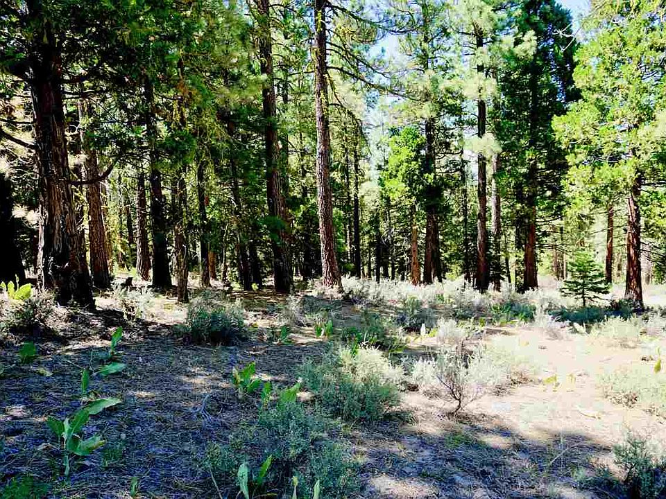 6866 Forest View Ln, Portola, CA 96122 Zillow