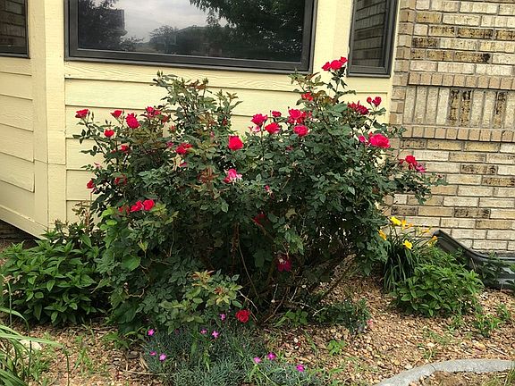 3rd image of 1740 Andover Dr