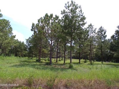 1068 Olivier Guidry Rd, Arnaudville, LA, 70512