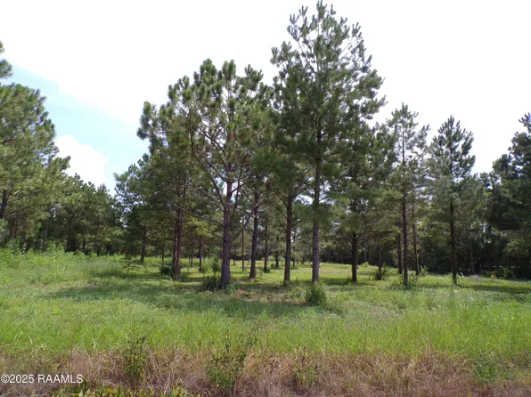 1068 Olivier Guidry Rd, Arnaudville, LA 70512