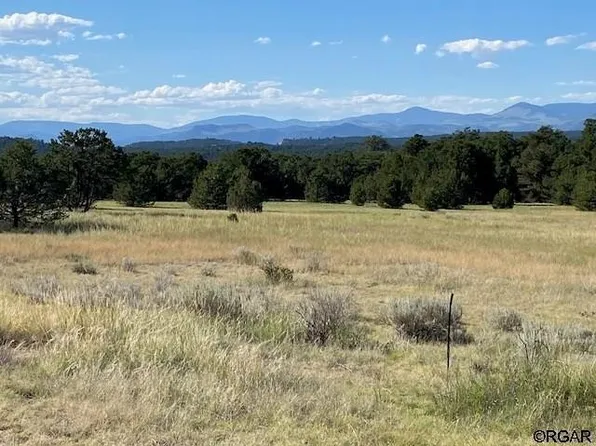 Deer Run Dr, Cotopaxi, CO 81223