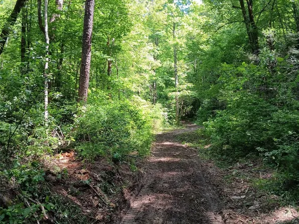 0 Bobs Creek Rd, Zirconia, NC 28790