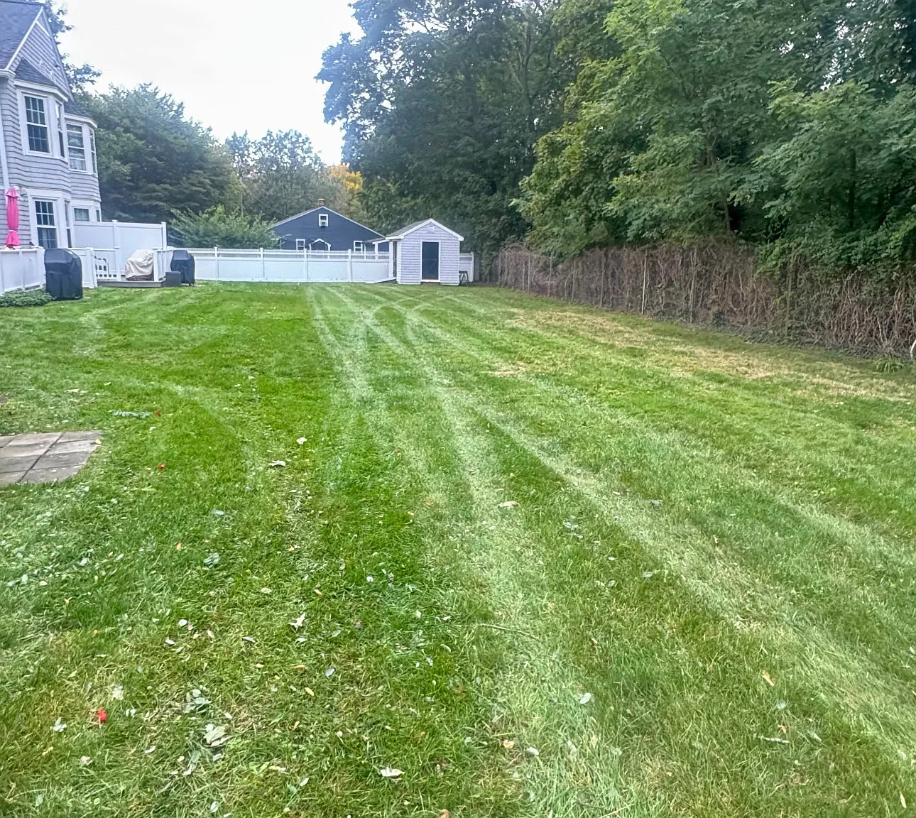 2 bed, 1.5 bath, 1150 sqft, $2,200 — Photo 3