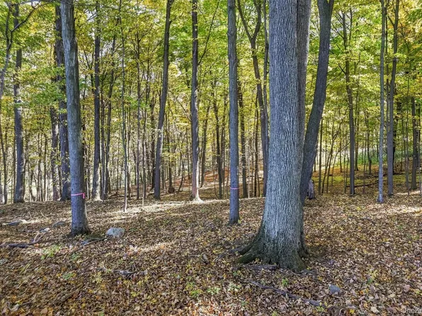 Dorian Way, Campbell Hall, NY 10916