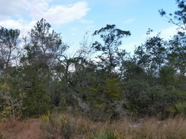 2948 W Reeves Rd, Avon Park, FL 33825