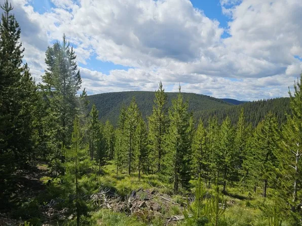 5212 Sliderock Mountain Rd #4896, Philipsburg, MT 59858