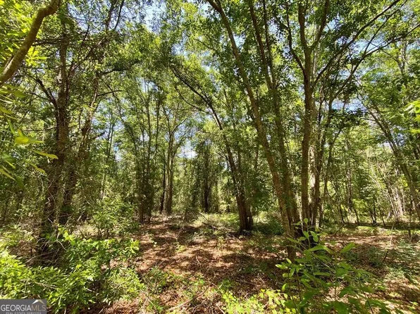 0 Tulip Rd, Rochelle, GA 31079