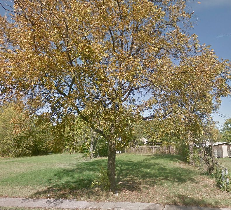 1st image of 1021 E Hattie St