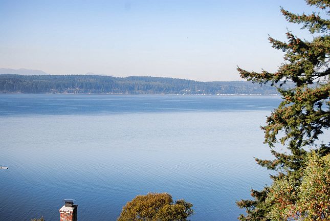 View from Deck