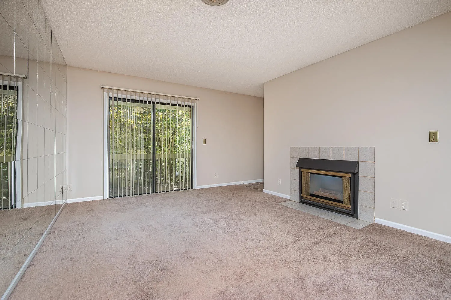 Lovely South Asheville Condo — Photo 4