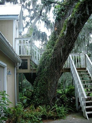 2nd image of 11703 Douglas Ln