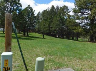 126 Surrey Ln, Custer, SD 57730