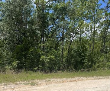 SW 67 LANE & SW 131 CIR LOT 10, Ocala, FL, 34481