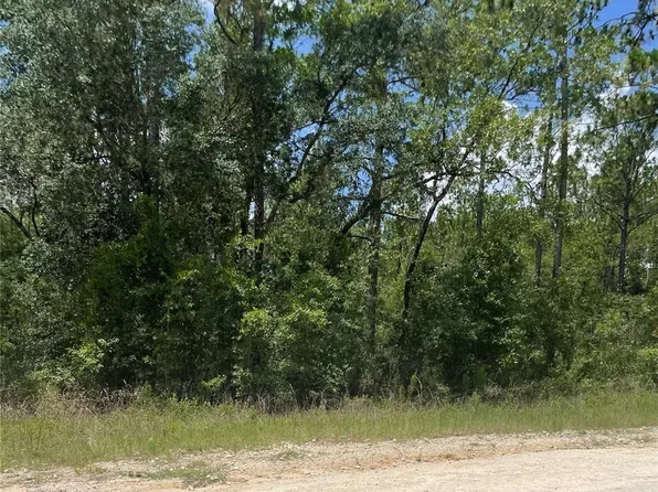 SW 67 Lane & Southwest Cir #131, Ocala, FL 34481