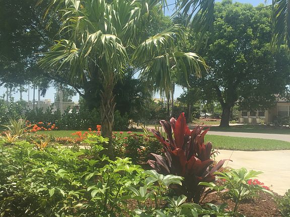 Front Yard