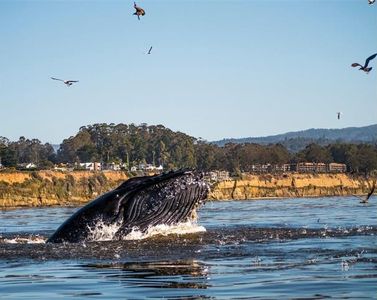 327 Rio Del Mar Blvd, Aptos, CA, 95003