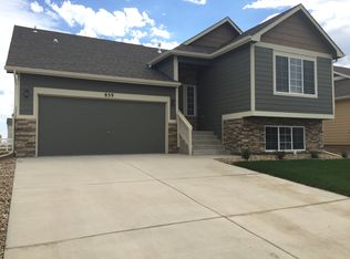 859 Lakebrook Ct, Windsor, CO 80550