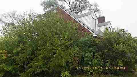 9901 Manor