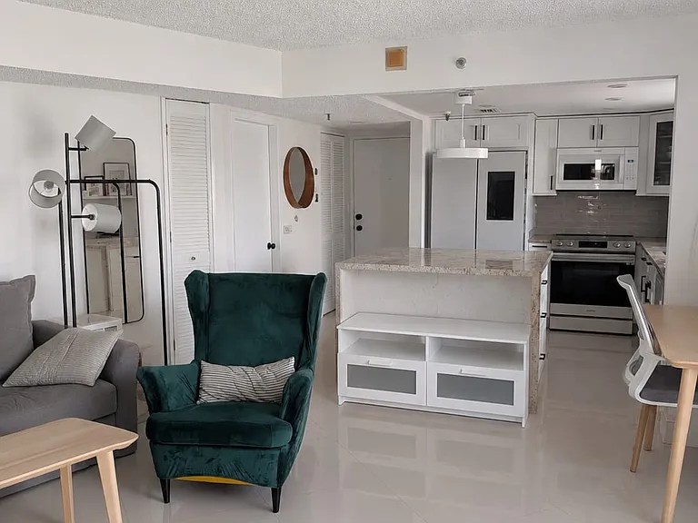 Living room and kitchen