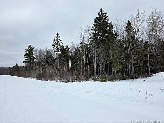 3rd image of 534 Cormier Village Bye Rd