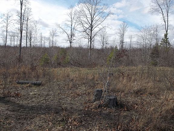 4th image of 7 Old State Hwy 111 Hwy