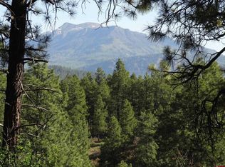 236 W Log Hill Rd, Pagosa Springs, CO 81147